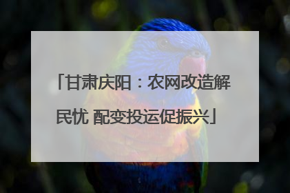 甘肃庆阳：农网改造解民忧 配变投运促振兴